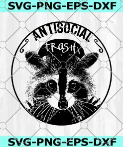 Raccoon Anti Social SVG, Raccoon SVG, Raccoon Face SVG, Anti Social Trash SVG, Baby Raccoon SVG