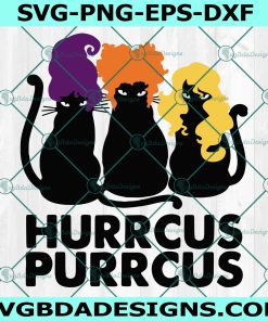 Hurrcus Purrcus Svg, black cat Svg, Halloween Svg