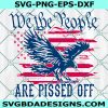 We the People Are Pissed Off Svg, Eagles America Flag svg, Flag America Svg, Cricut, Digital Download