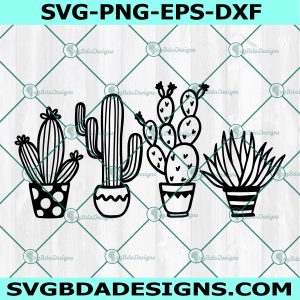 Cactus Svg, Cactus Flower Svg, Succulent Svg, Cricut, Digital Download
