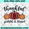 Thankful Grateful & Blessed svg, Fall svg, Autumn svg, Pumpkin svg, Thanksgiving svg , Cricut, Digital Download