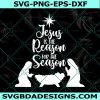 Jesus is the Reason for the Season svg, Christmas svg, Holy Night svg, Jesus svg, Christmas Decoration sv, Digital Download