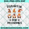 Thankful for My Gnomies Svg,Thanksgiving Gnomes Svg, Thankful My Gnomies Svg,Cricut, Digital Download