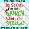 I'm so cute even the Grinch wants to steal me Svg, Grinch SVG, Christmas SVG, Christmas Grinch Svg, Digital Download