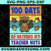 Kids 100 Day Of Driving My Teacher Nuts Svg, 100 Day Svg, Teacher Nuts Svg, Digital Download