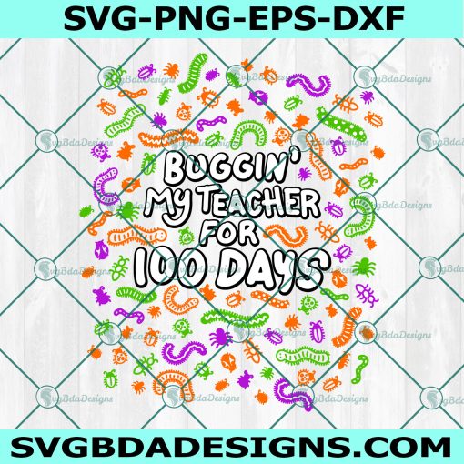 Bugging My Teacher for 100 Days Svg, Teacher Svg, Bugging Svg,Teacher for 100 Days Svg, Instant Download