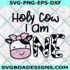 Holy Cow I am One Svg, 1st Birthday Girl Svg, Cow with Bow Svg, Girl First Birthday Svg, Farm Cowgirl Birthday Svg, Digital Download