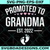 Promoted to Grandma EST 2022 Svg, Womens 1st Time Grandma EST 2022 Svg, New First Grandma 2022 Svg, Digital Download