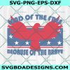 Land of the Free Because of the Brave Svg, Patriotic Svg, Fourth of July Svg, America 4th of July Svg, Memorial Day Svg, File For Cricut, File For Silhouette, Instant Download
