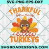 Thankfull for my little Turkey Svg, Little Turkey Svg, Thankful Svg, Thanksgiving Svg, File For Cricut