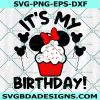 Disney It's My Birthday Svg, Birthday Svg, Gift for Birthday Svg, Ice Cream Minnie Svg, Disney Brithday Svg, File for Cricut 