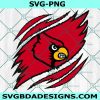 Louisville Cardinals Ripped Claw SVG, NCAA Mascot University College Svg, NCAA Ripped Claw Svg, NCAA Logo SVG, Louisville Cardinals Svg