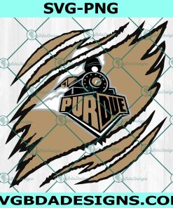 Purdue Boilermakers Ripped Claw SVG, NCAA Mascot University College Svg