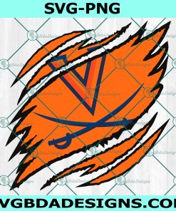 Virginia Cavaliers Ripped Claw Ripped Claw SVG, NCAA Mascot University College Svg
